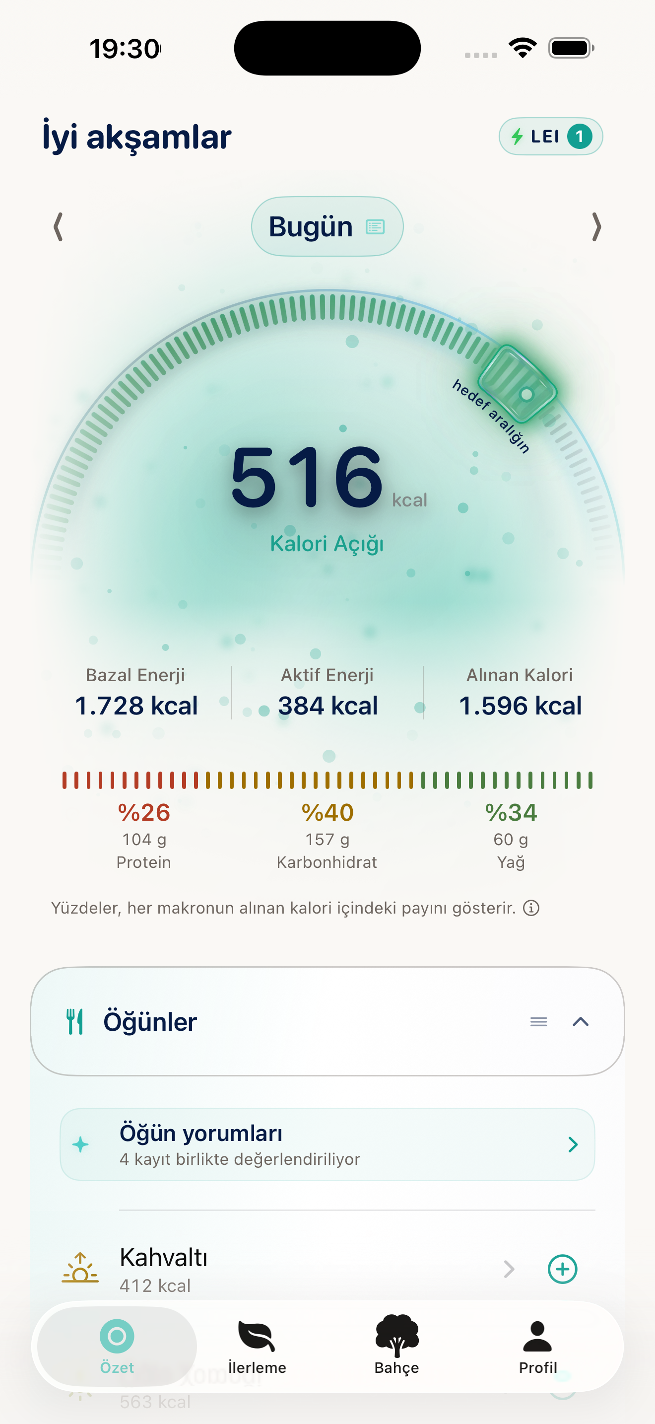 Caluma'nın yüksek çözünürlüklü gerçek günlük özet ekranı